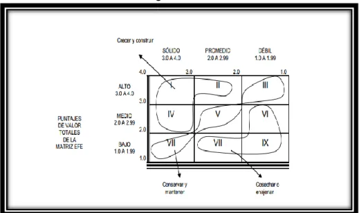 Figura 2. Matriz IE 
