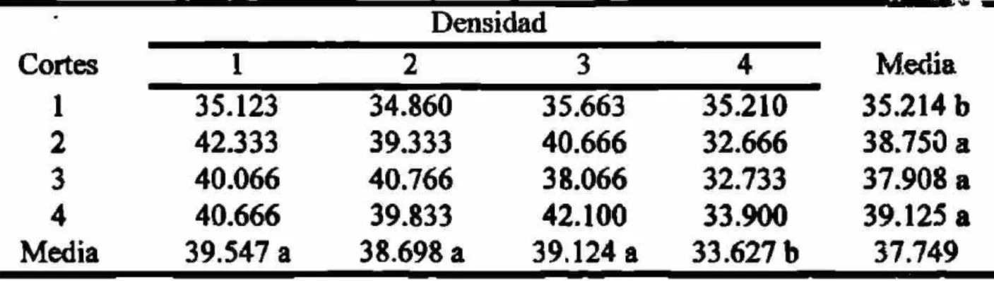 Cuadro 5. Comparación de medias para longitud de tallos (cm) por efecto de la  densidad de población y época de corte