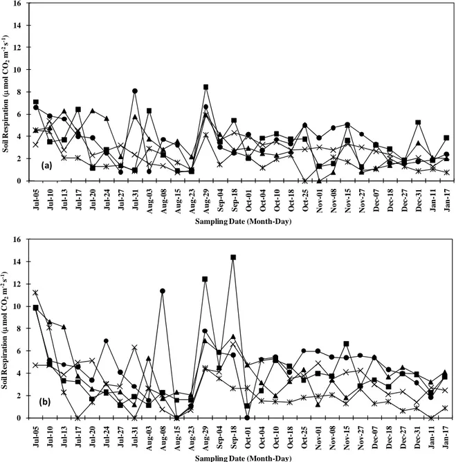 Figure 4. Seasonal variation in morning (a) and afternoon (b) soil respiration rate at five different land uses