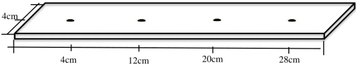 Figure 1. Dots corresponds the area where the L, a, and b values were obtained on each sample