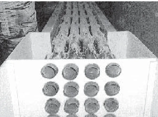 Fig. 1. Prototipo de segunda generación, vista transversal.