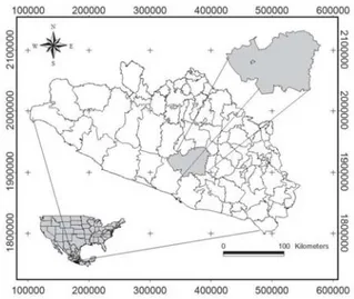 Fig. 1. Localización del área de estudio en la sierra de Chilpancingo, Guerrero.