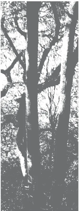 Fig. 4. La trama en las columnas indica la ocurrencia de individuos en cada estrato arbóreo.