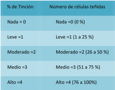 Tabla 1 Método de obtención de IBR 