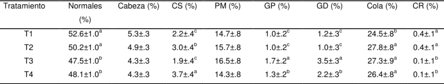Tabla 9. Promedio  ( ±DE) de las características morfológicas  normales, cabezas  sueltas  (CS),  parte  media  (PM),  gota  proximal  (GP),  gota  distal  (GD)  y  células  redondas (CR) del semen congelado-descongelado con diferentes volúmenes del  gradi