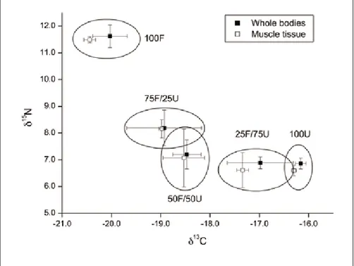 Figure  2  combines  carbon  and  nitrogen  stable  isotope  values   meas-ured  in  shrimps  and  provides  a graphic indication of the total  organic  matter  contributed  by  both,  the  formulated  feed  and  macroalgae