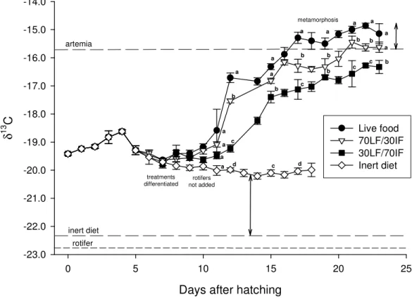Fig.  4.  Changes  in  carbon  stable  isotope  ratios  (‰)  in  whole  tissue  of  Senegalese  sole  larvae raised on different feeding regimes