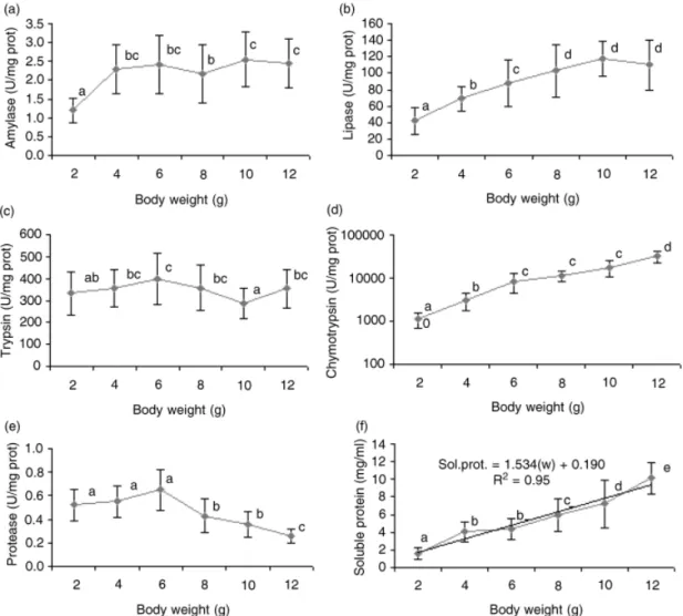 Figure 1 Speci¢c activity of (a) amylase, (b) lipase, (c) trypsin, (d) chymotrypsin, (e) protease and (f) soluble protein content in Litopenaeus vannamei at di¡erent body weights