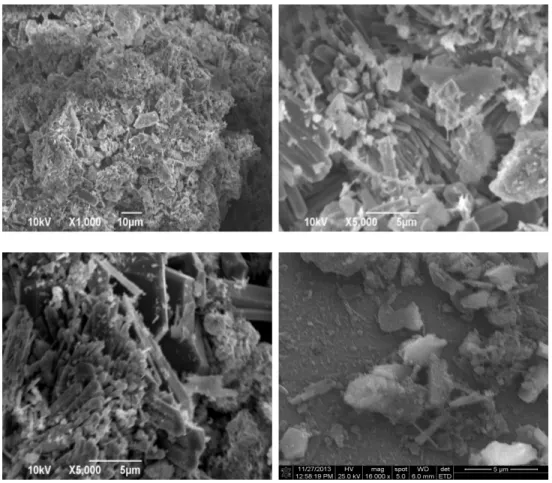 Figura 3.8. Micrografías de polvo de Hidroxiapatita resultante de la síntesis vía