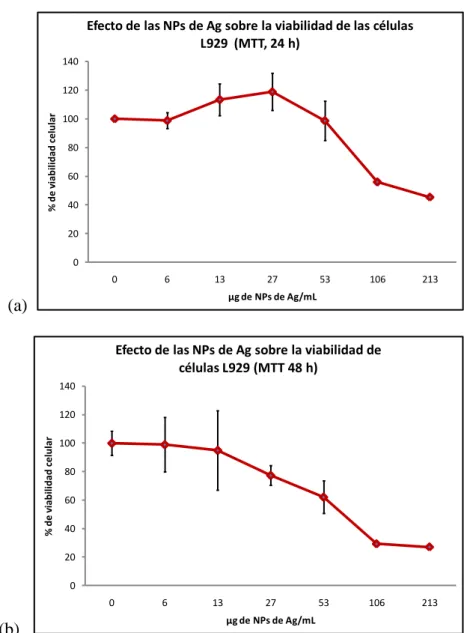 Fig.  2.  Porcentaje  de  viabilidad  de  células  L929    obtenido  después  de  24  (a)  y  48  h  (b)    de  exposición  a    NPs  de  Ag  mediante    evaluación  microscópica  y  prueba  de  reducción  de  MTT