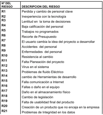Tabla 5. Identificación de Riesgos