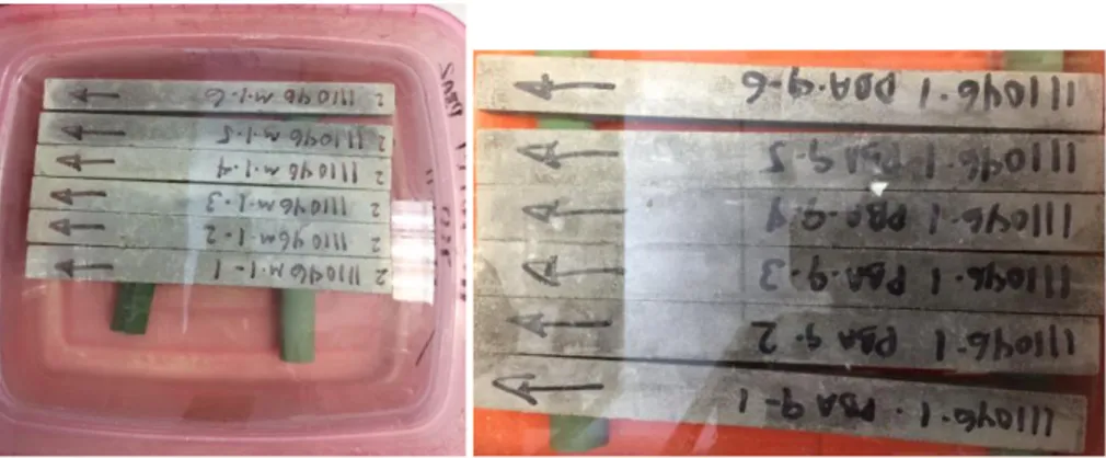 Figura 25. Especímenes almacenados, prueba de resistencia al ataque químico por sulfatos