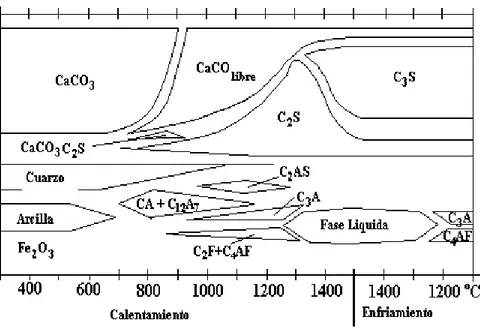 Figura 2.2  Reacciones ocurridas durante el paso de la materia prima 