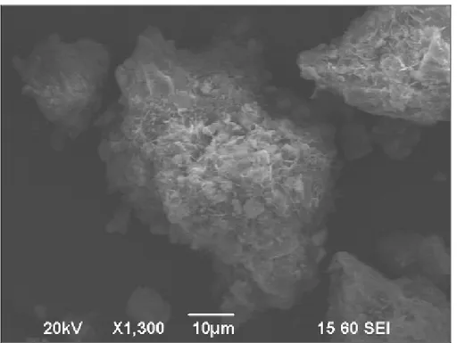 Figura 4.2    Micrografía de los cristales de la mezcla de Magnesia-