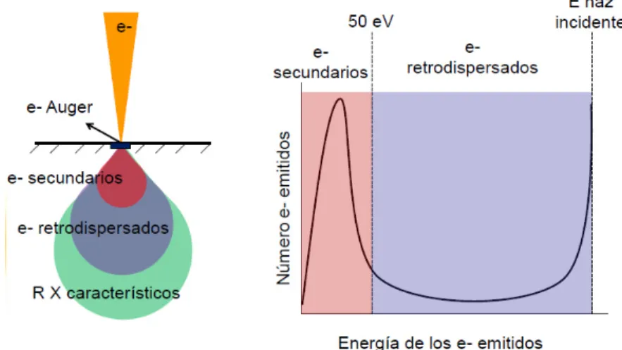 Figura 4.3 Esquema general del efecto del haz de electrones sobre una muestra [62].  