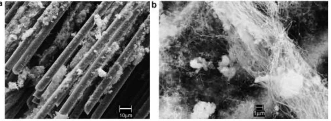 Figure 3.10. (a and b) SEM micrographs of CNTs grown on carbon fiber tows after ultrasonication