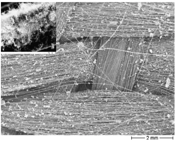 Figure 3.11.- SEM micrograph of CNTs grown on carbon fiber cloth after ultrasonication 