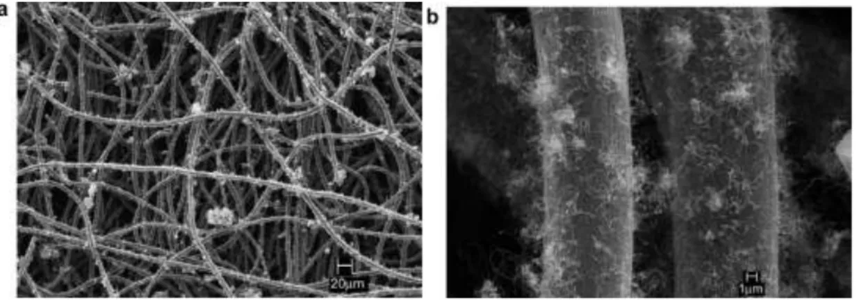 Figure 3.12.- (a and b) SEM micrograph of CNTs grown on carbon fiber felt after ultrasonication