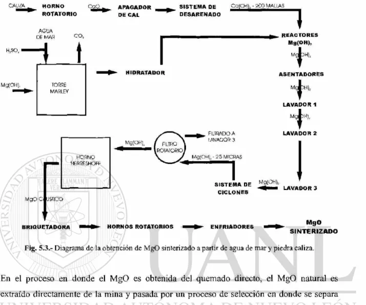 Fig. 5.3.- Diagrama de la obtención de MgO sinterizado a partir de agua de mar y piedra caliza