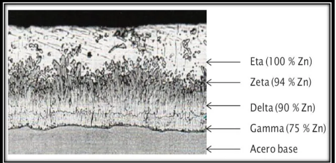 Figura 14.  Perfil estratigráfico de las capas de la aleación metalúrgica acero-zinc  [Yeomans, 2004]