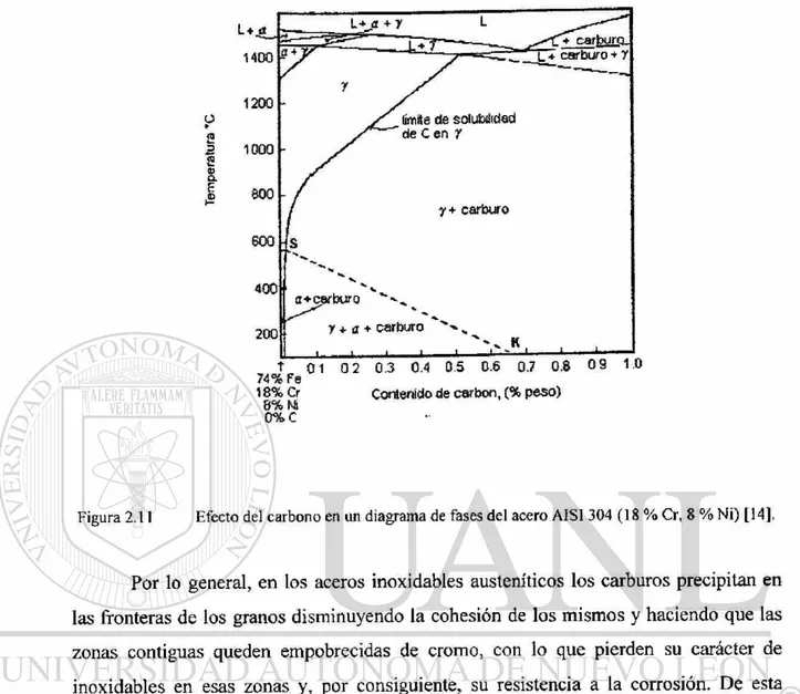 Figura 2.11 Efecto del carbono en un diagrama de fases del acero AISI  3 0 4  ( 1 8 % Cr, 8 %  N i ) [14]