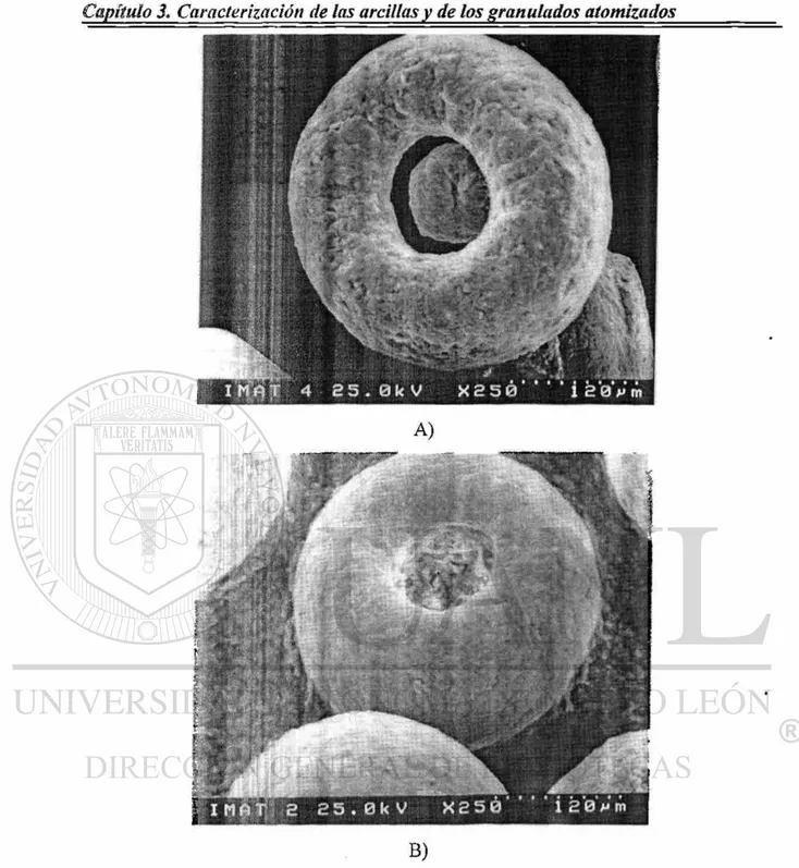 Figura 3.16 Imágenes de microscopía electrónica de barrido de las fracciones de 355-212  jam de : A) Arcilia Negro Campos y B) Arcilla, ZA-4