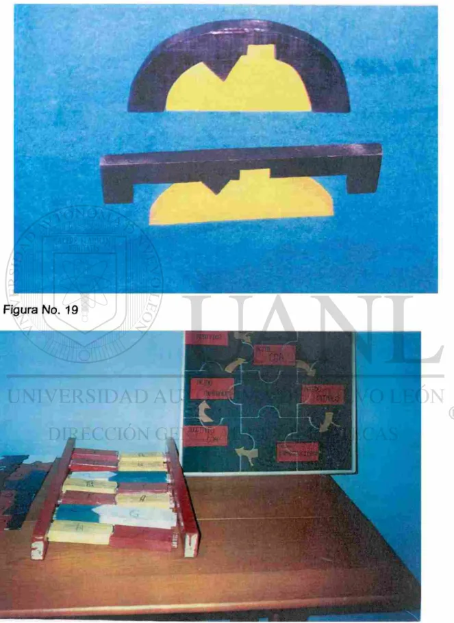 Figura No. 19 