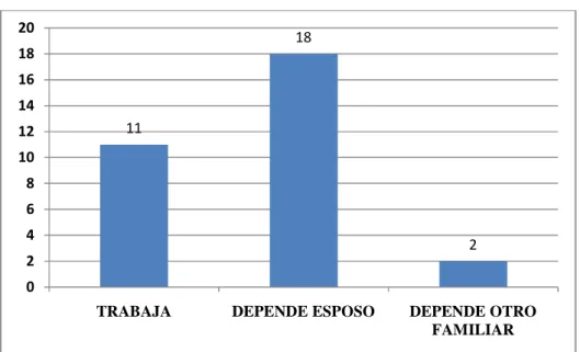 Figura 17. Distribución según nivel de dependencia económica de la denunciante. 