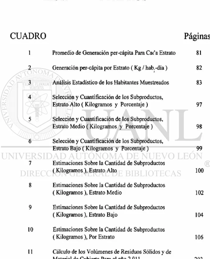CUADRO Páginas 
