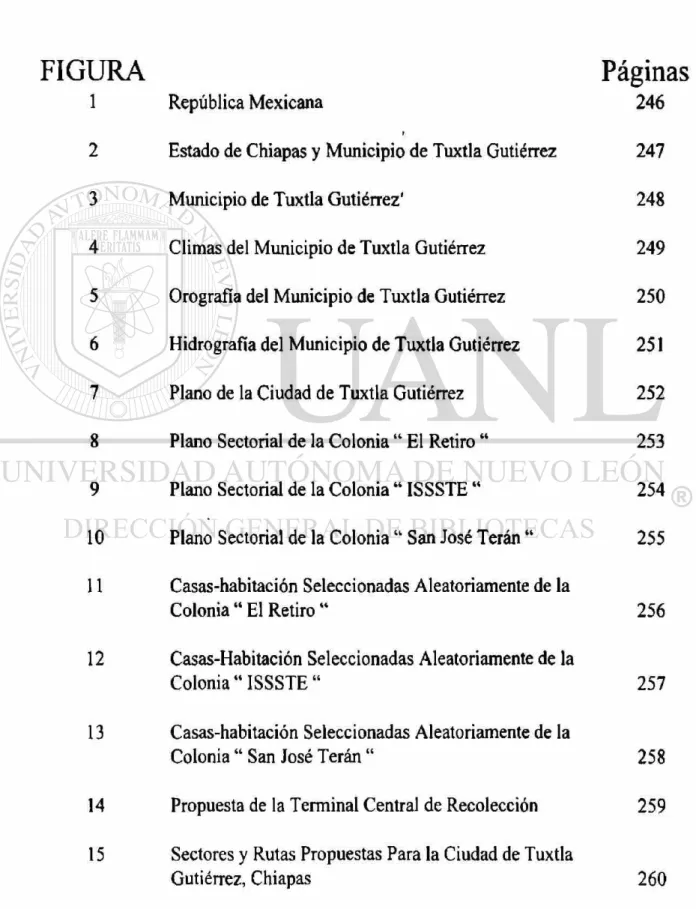FIGURA Páginas 