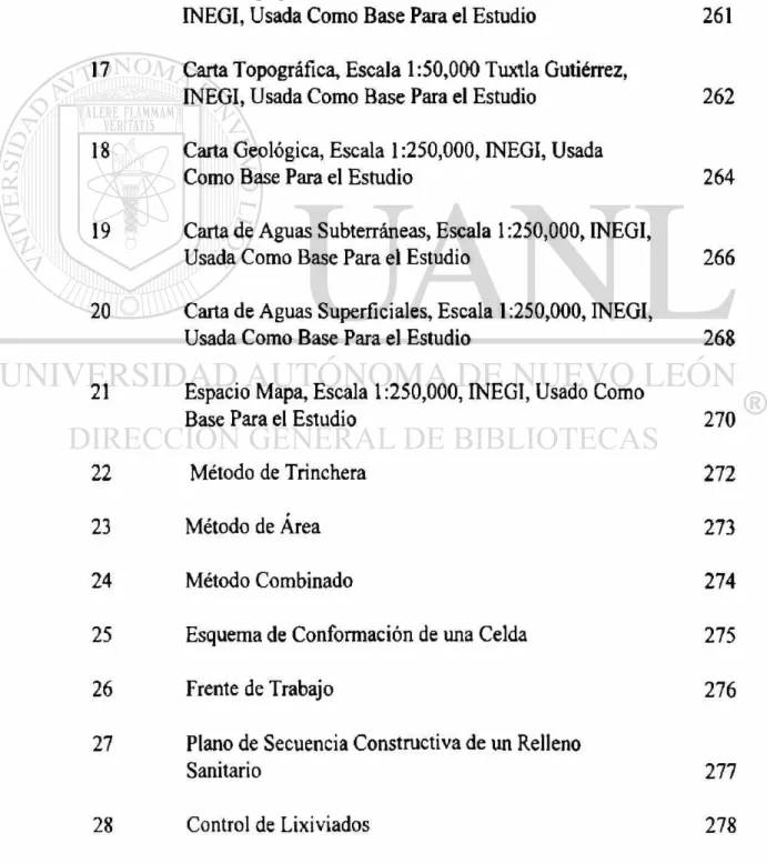 FIGURA Páginas 