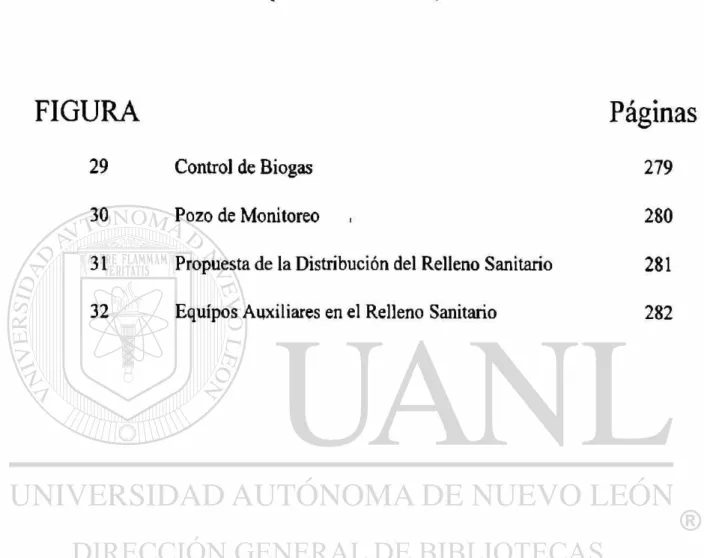 FIGURA Páginas 