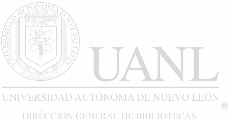 Figura  Página 