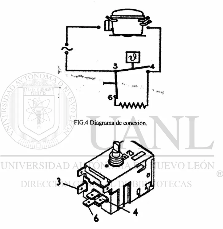 FIG5 Estructura física. 
