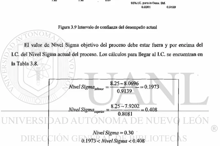 Figura 3.9 Intervalo de confianza del desempeño actual 