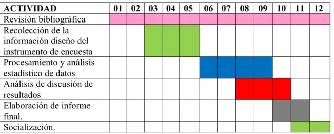 Tabla 2. Cronograma de actividades
