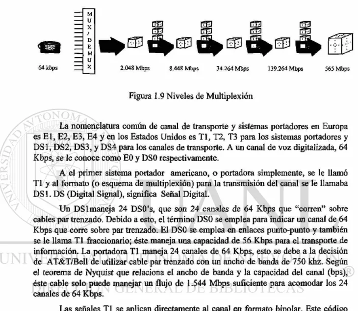 Figura 1.9 Niveles de Multiplexión 