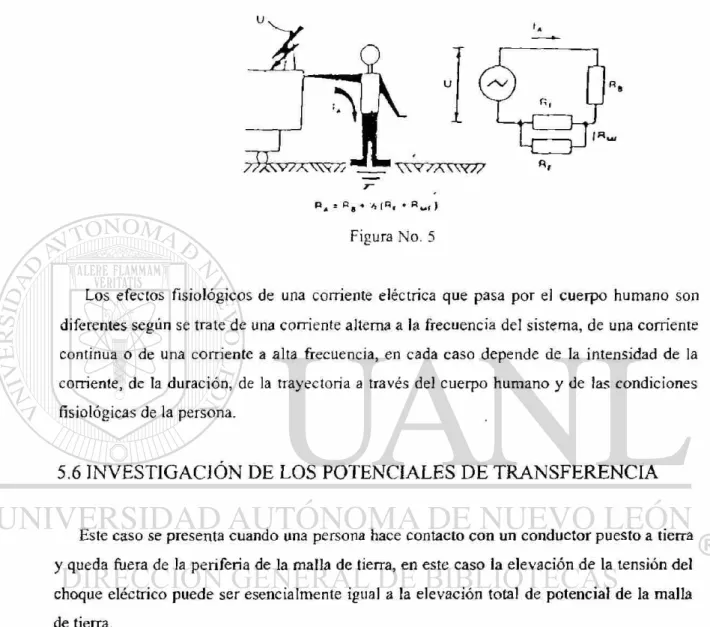 Figura No. 5 