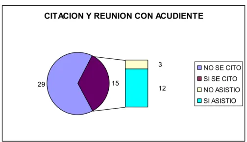Figura 9. Citación y Reunión con Acudiente  