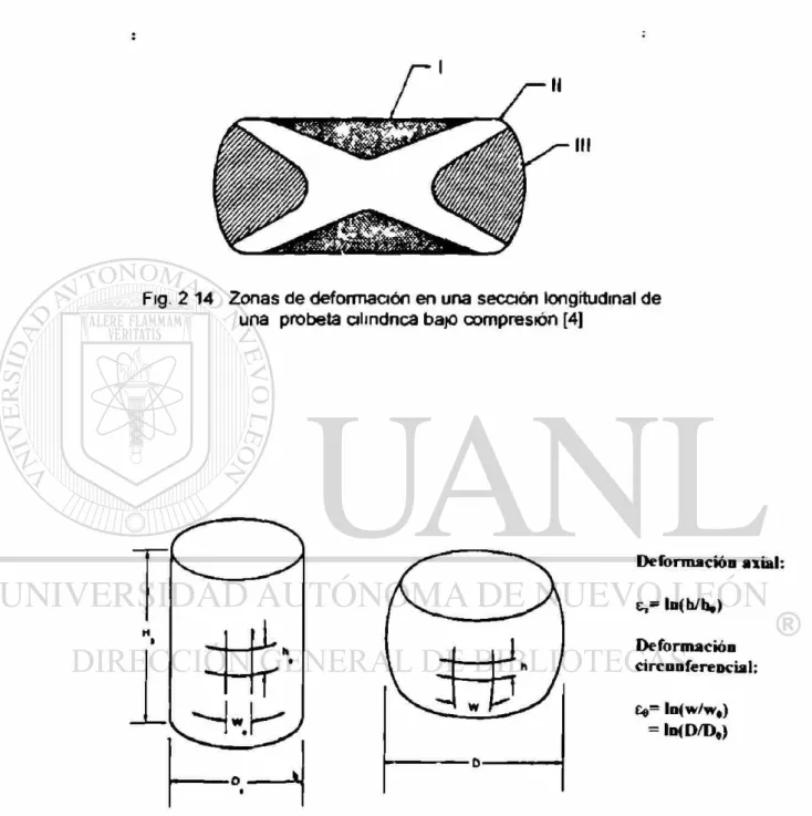 Fig. 2 14 Zonas de deformación en una sección longitudinal de  una probeta cilindnca bajo compresión [4] 