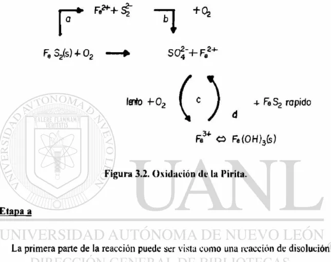 Figura 3.2. Oxidación de la Pirita. 