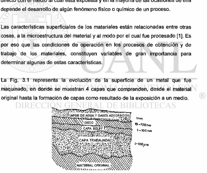 Fig. 3.1 Representación esquemática de la superficie de un metal [2]. 