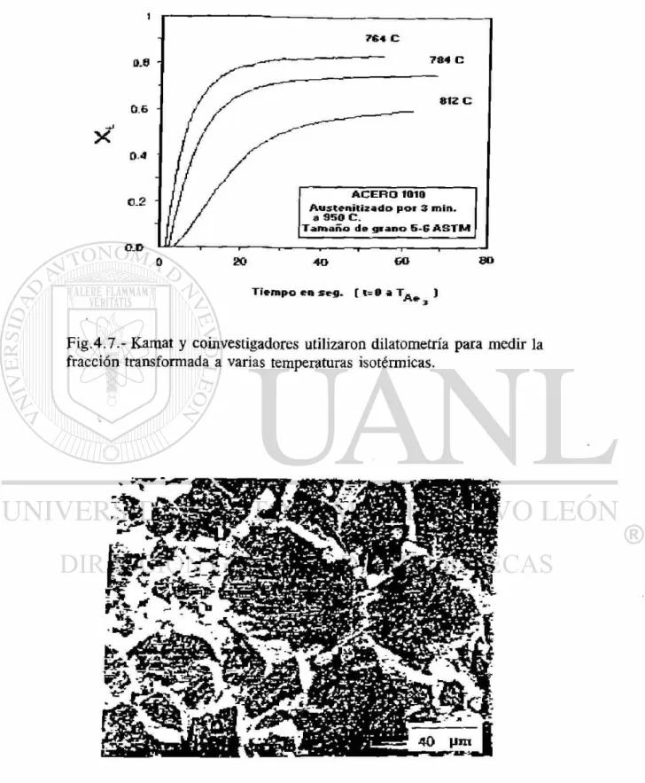 Fig .4.8.- Metalografía de una saturación temprana para una  transformación parcial a 812°C