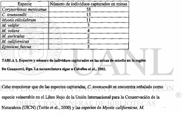 TABLA 1. Especies y número de individuos capturados en las minas de estudio en la región  De Guanaceví, Dgo