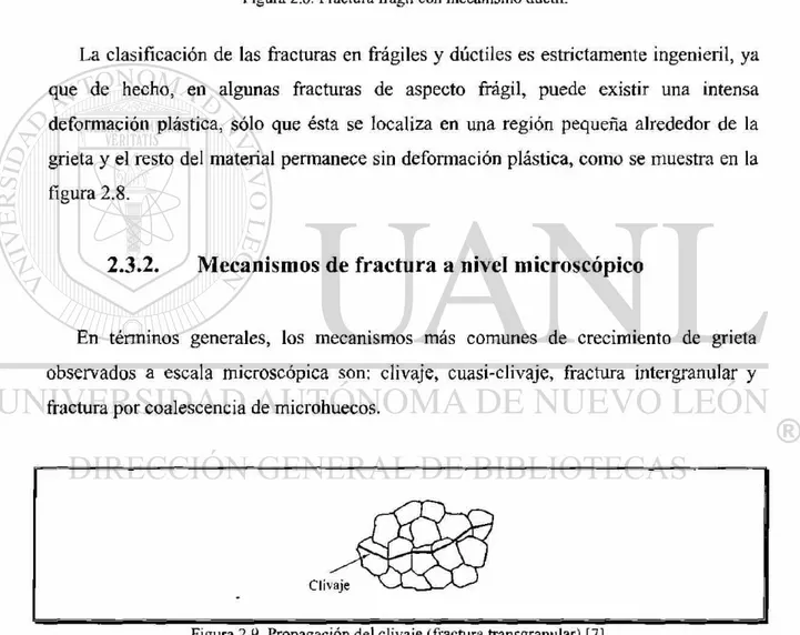 Figura 2.9. Propagación del clivaje (fractura transgranular) [7]. 