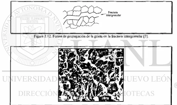 Figura 2.13. Fractura frágil a través de las fronteras de grano (intergranular). 