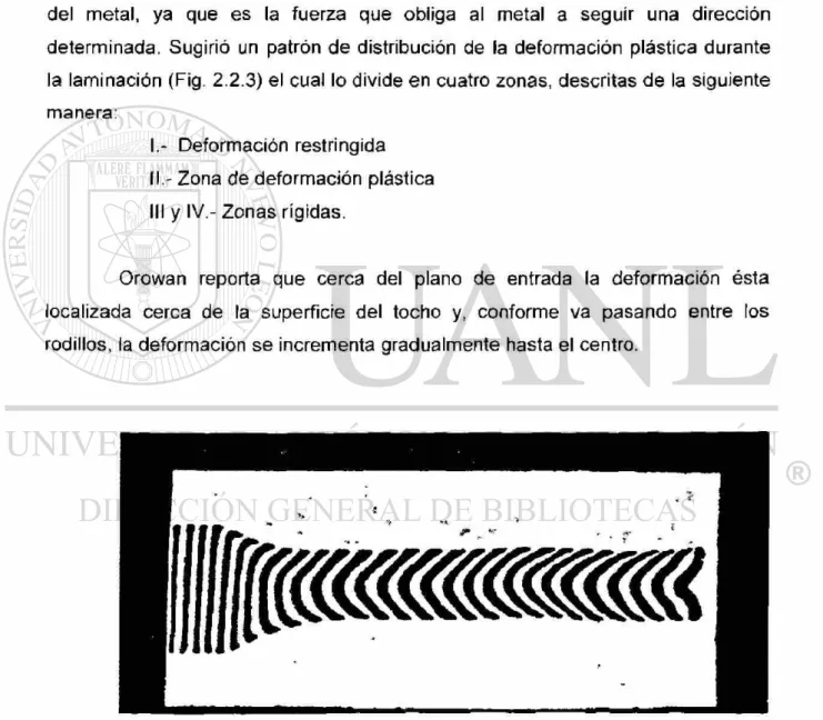 Fig. 2.2.2 Fluencia del material rolado (barra de plasticina). 