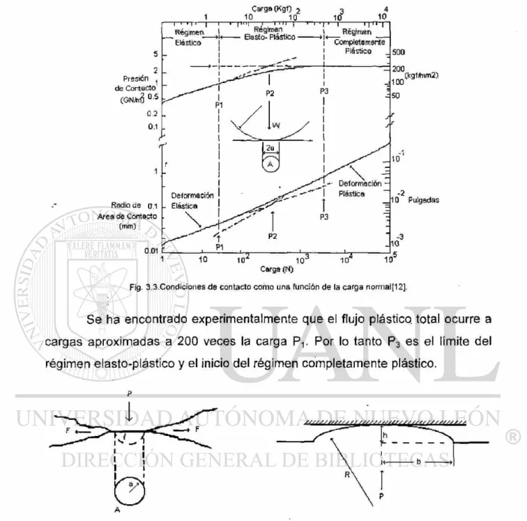 Fig.  3 . 3 . C o n d i c i o n e s d e contacto como una función de la carga normal[12]