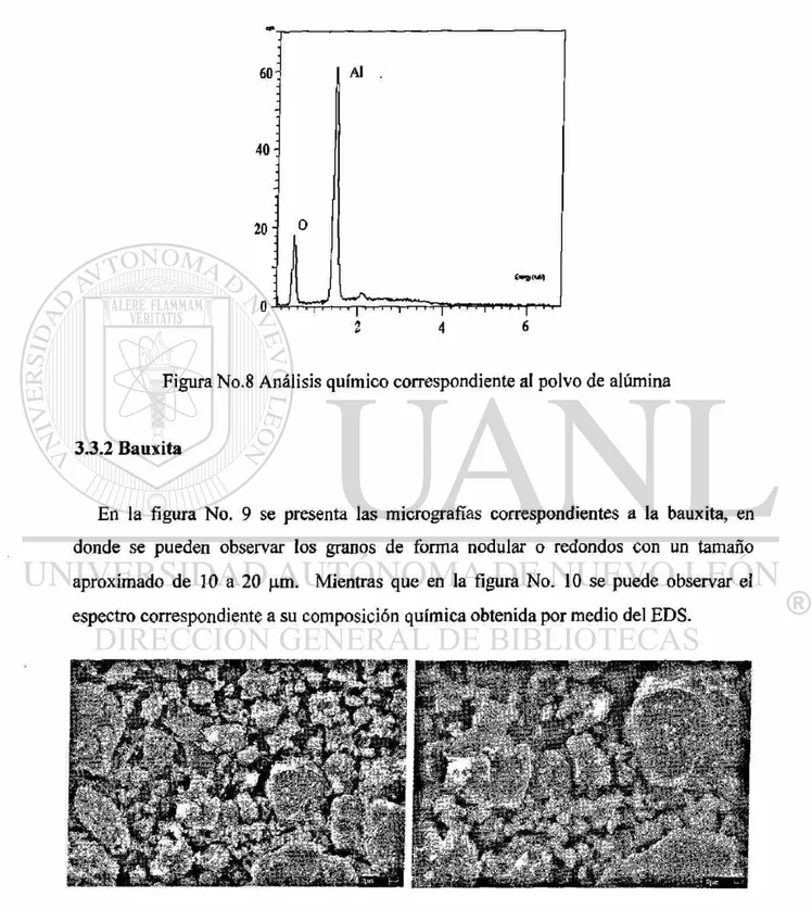 Figura No.8 Análisis químico correspondiente al polvo de alúmina 