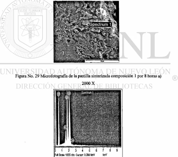 Figura No. 29 Microfotografía de la pastilla sinterizada composición 1 por 8 horas a)  2000 X 